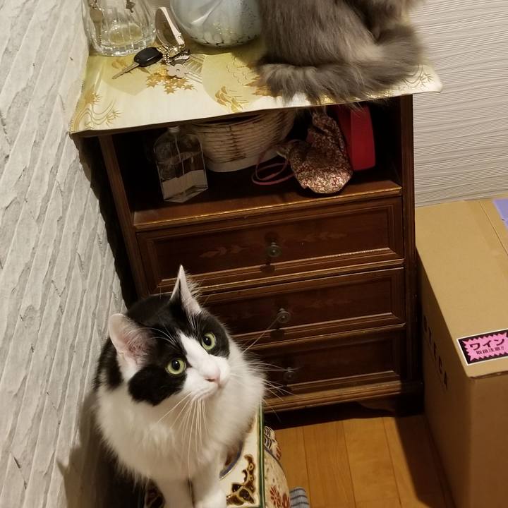 9a891813 d633 4296 abe3 37286f04f6af 1543403432422