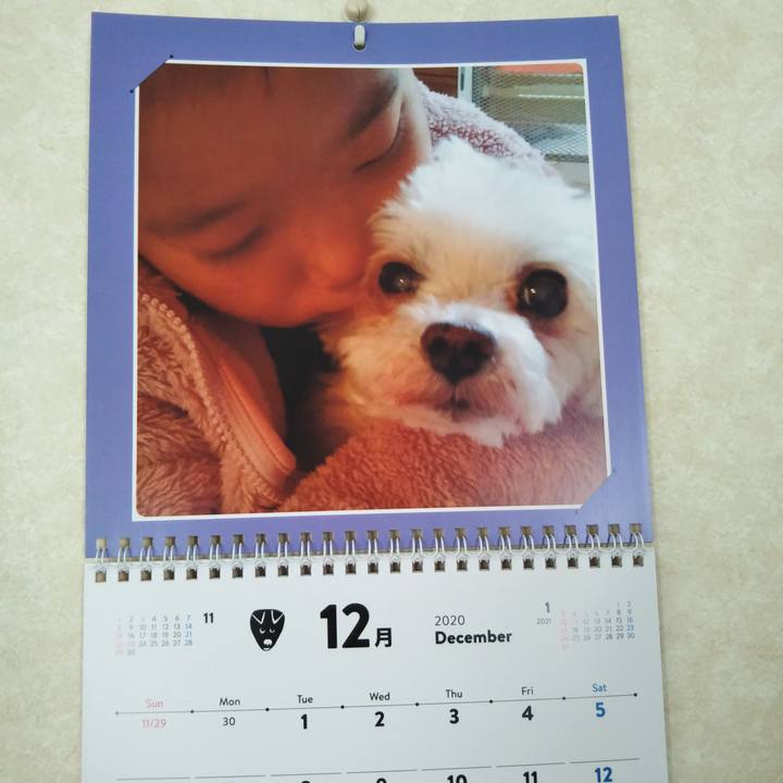 9a891839 59d2 4f69 b532 5d6807ec474b 1606871262832