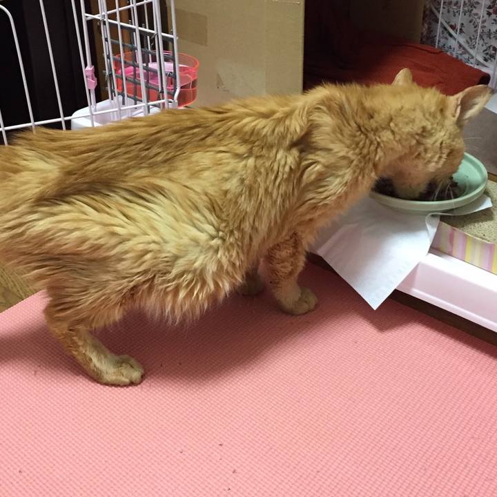 9a896957 c861 4008 87eb 0242050f2cdf 1609054546231