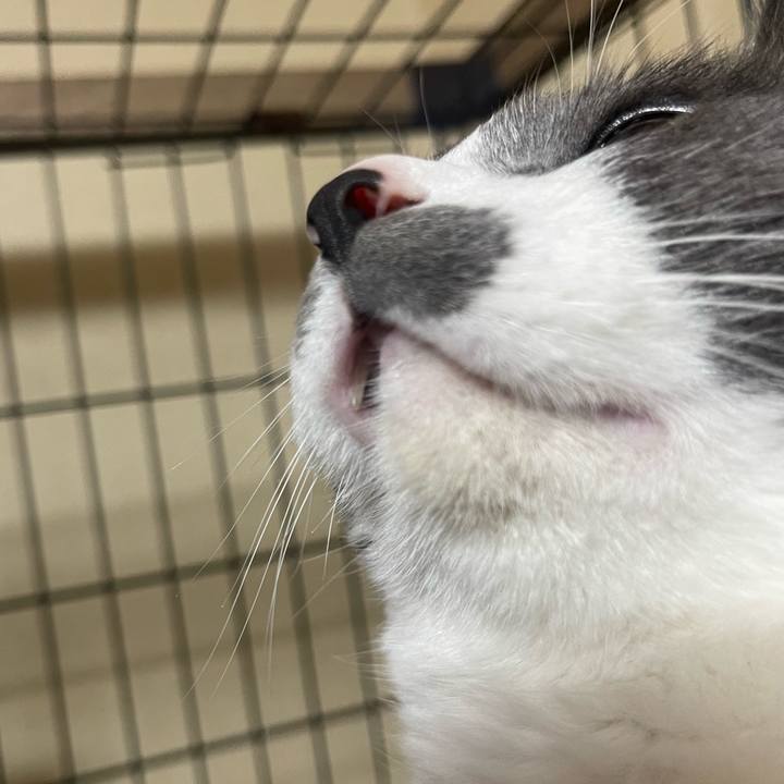 9a897977 284e 45c3 8c67 2b5d420ab0cf 1680785583757