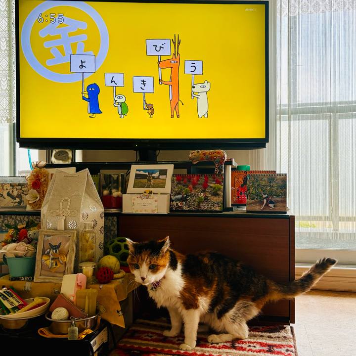 9a897ce9 bf91 478d ad28 2627435935ec 1729807538417