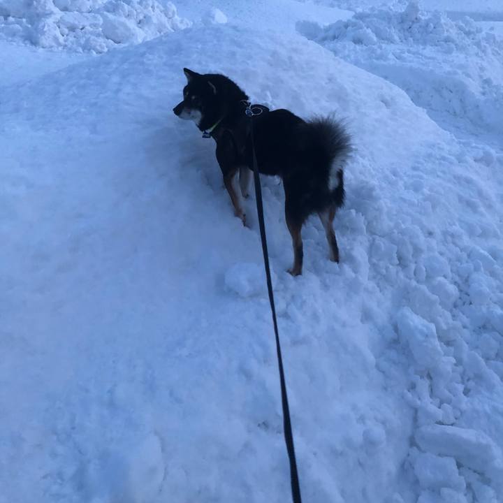 9a899a16 ff6f 40b0 a1ed 694164544da7 1611470398906