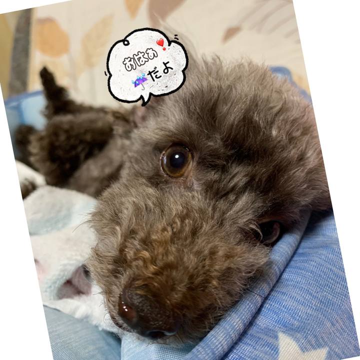 9a89d284 e4bc 451a 9772 7a6e243221af 1593812621289