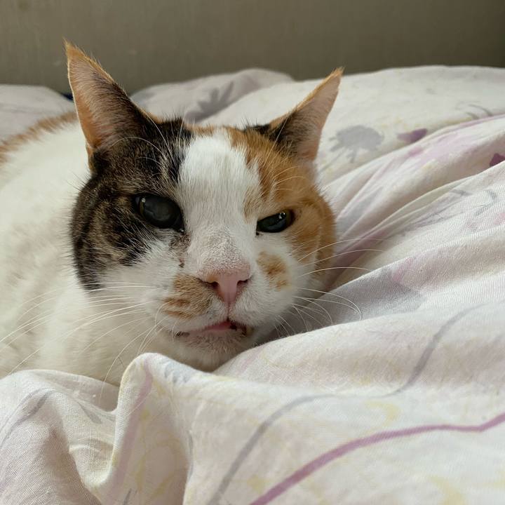 9a8a4f5c 4647 498c 9b47 ee56d742c8b0 1586753210457