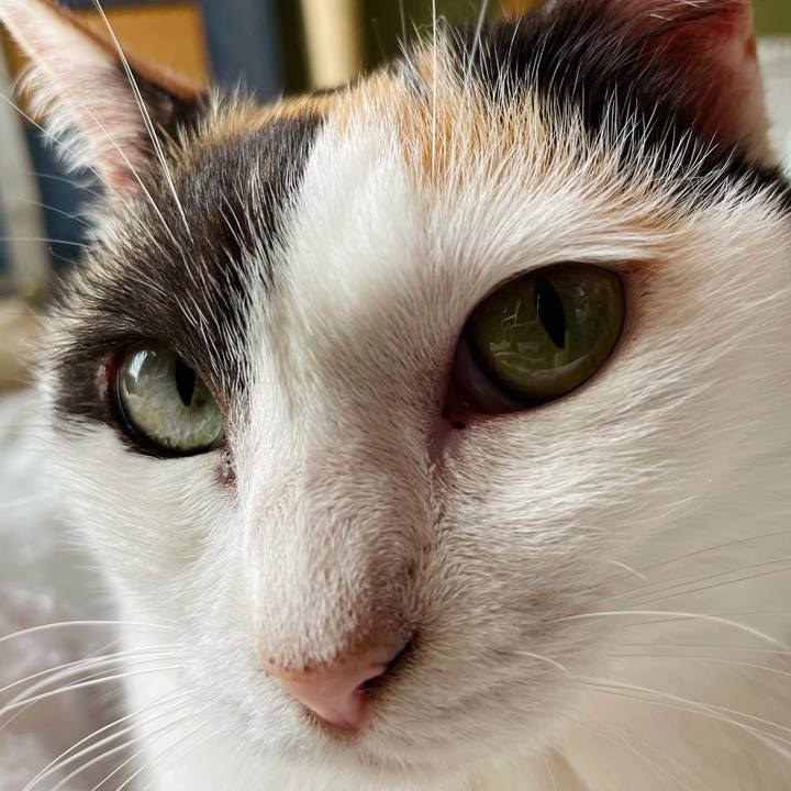 9a8a5cea 1c7f 4fd7 bedd 50b03d3b064f 1626489756473