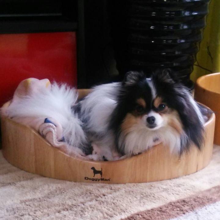 9a8a7afd d80d 4b0f aedd 744e29d75847 1519600780514