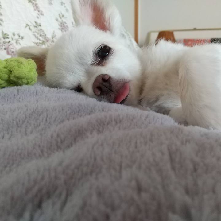 9a8aa4f2 3ba6 476f b72f 786151333754 1592147534975