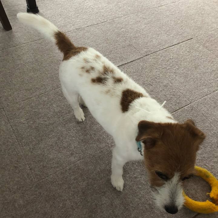 9a8ac684 da95 4e05 a2e1 e219ee87224a 1562486298383