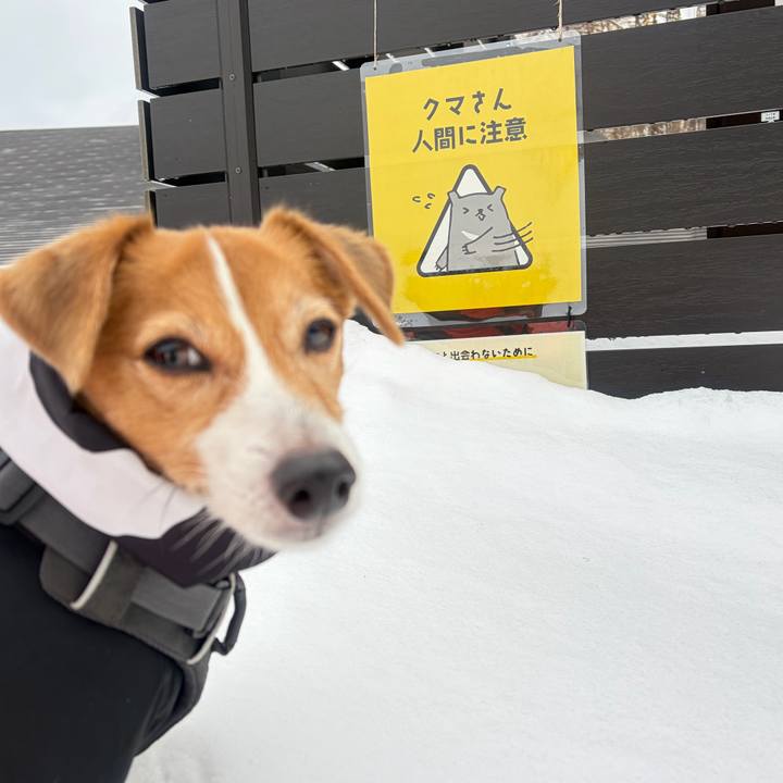 9a8aeae4 a7f9 4700 9dbc ba76062e29e1 1768998589611