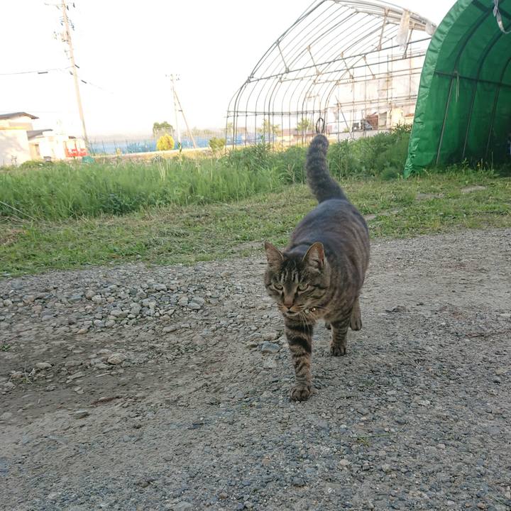 9a8af0fb 3b8a 4b3f b1c4 5c3a2c1455ea 1653816790734