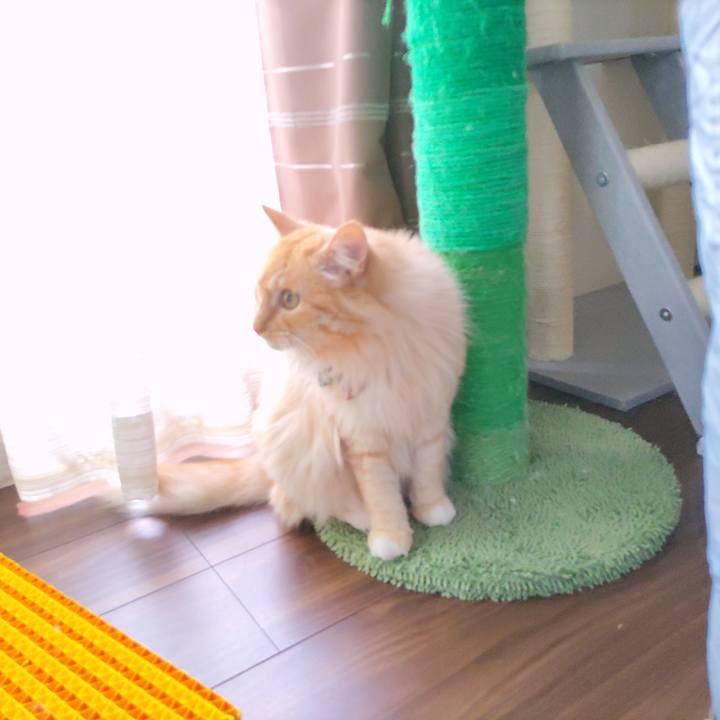 9a8af5d1 9eb9 48f2 9994 e281f65fc75c 1654761616797