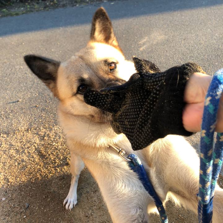 9a8afd10 c15f 46c8 88d2 0559226a0483 1572956786725