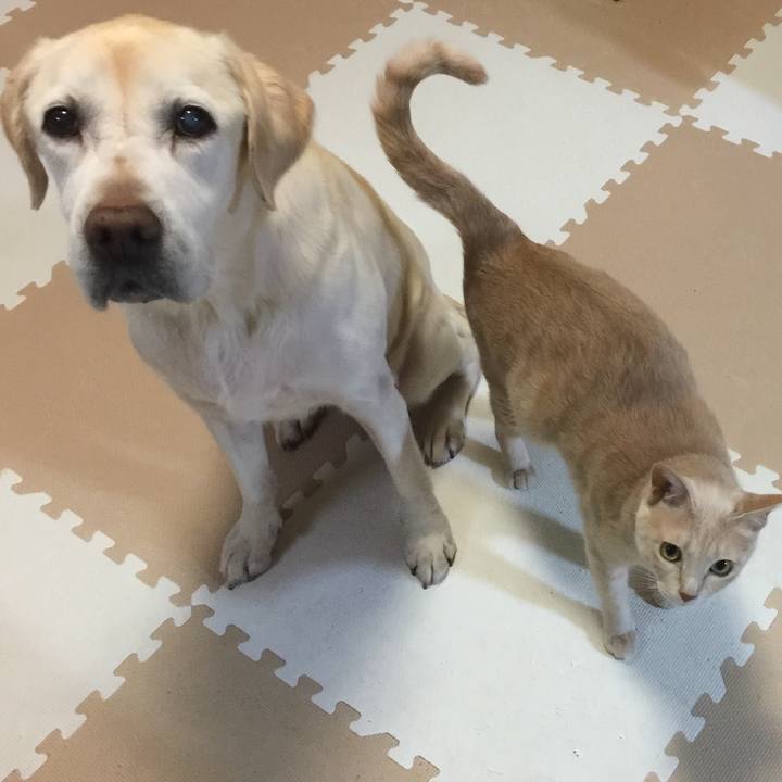 9a8b10d7 72dd 40ed 99df 3ba3708f1665 1575425249642