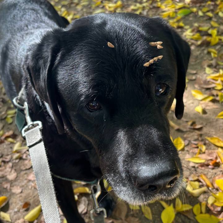 9a8b15ff 8c2f 4134 8360 a66a06686ef6 1763037135510