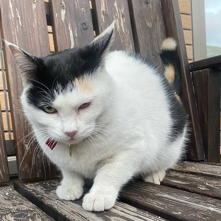 9a8b2bc5 a884 4d78 b960 76fbef1d0348 1640472786695