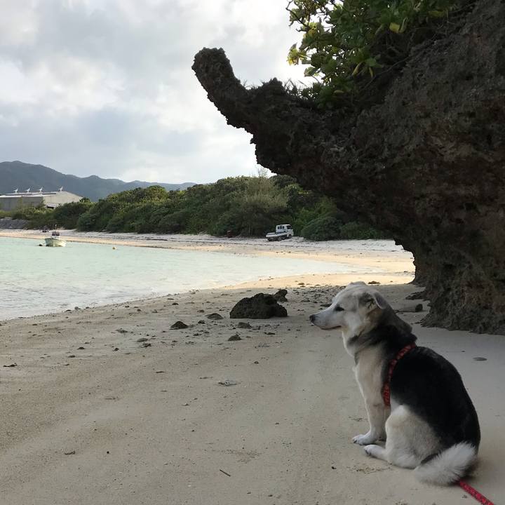 9a8b31d7 a896 4293 b6bc d3a1d077b6dd 1573736071493