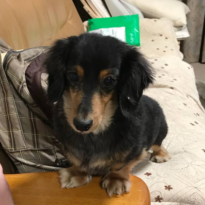 9a8b5f3d e3b8 4e88 a2a9 1000d889f141 1511991575005