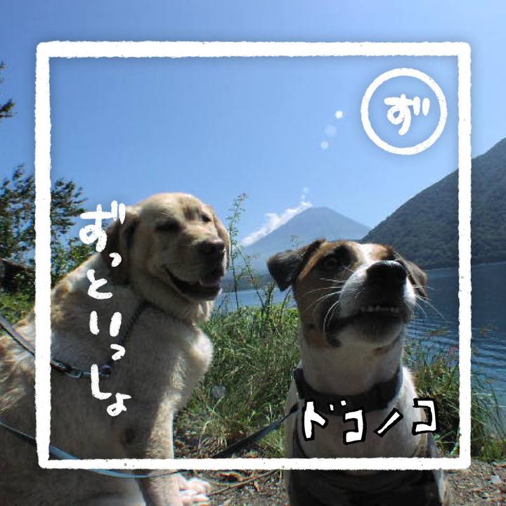 9a8b77f5 19e2 445e 9b4c e159ceb7c01c 1686011036294