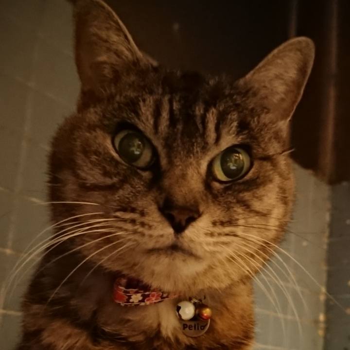 9a8bc9e7 cbce 4dba a040 b343087ee1f6 1578389804252