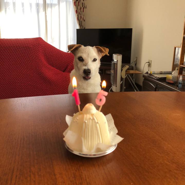 9a8bcd7c 9f76 4e0e a93f e5c669a48e63 1520599404418