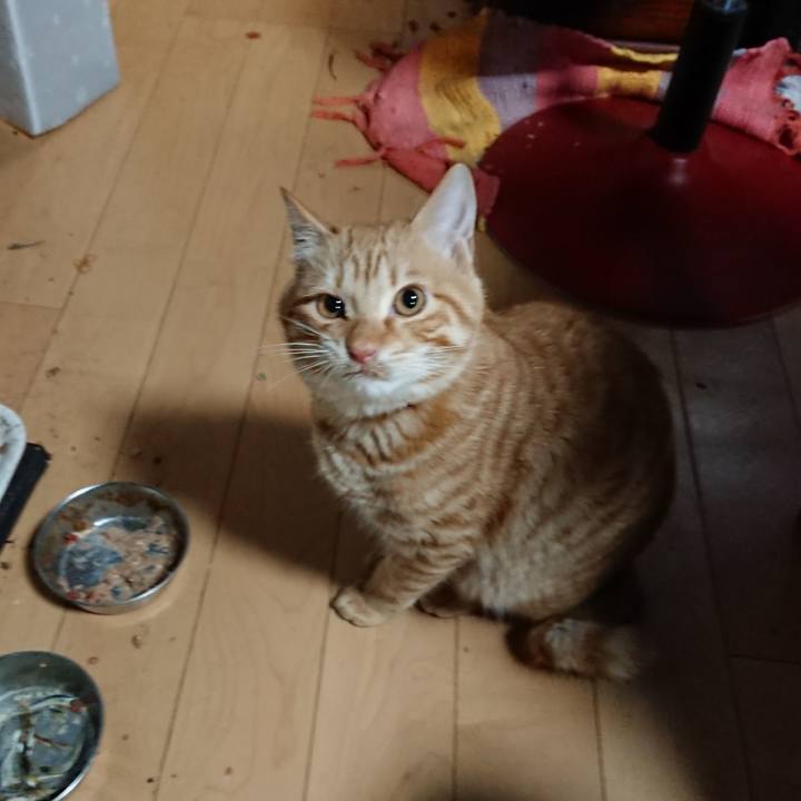 9a8beca3 f387 4576 82e0 8602dffc95a0 1640342064568