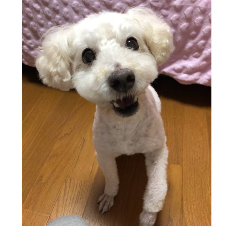 9a8bef3e b4fb 45ad 87b5 196c12ec4e8d 1536661748833