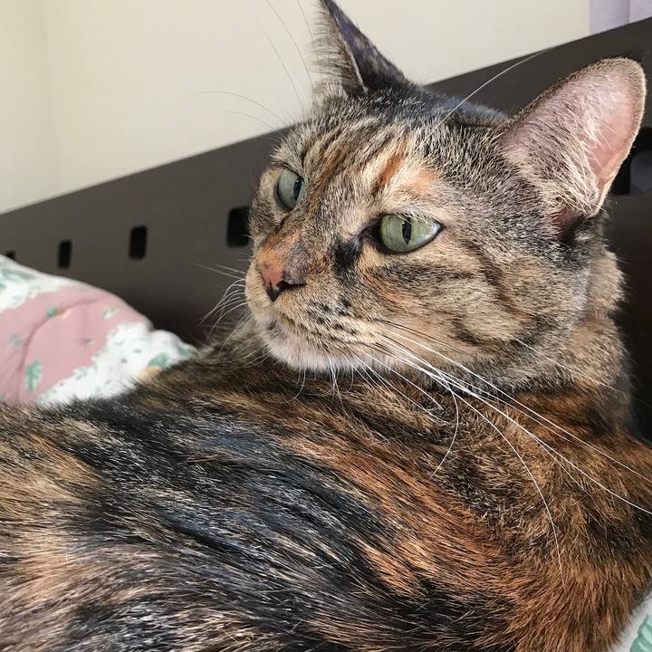 9a8c0aaf 2b32 4542 9b10 6d1a99a3037e 1535888157238