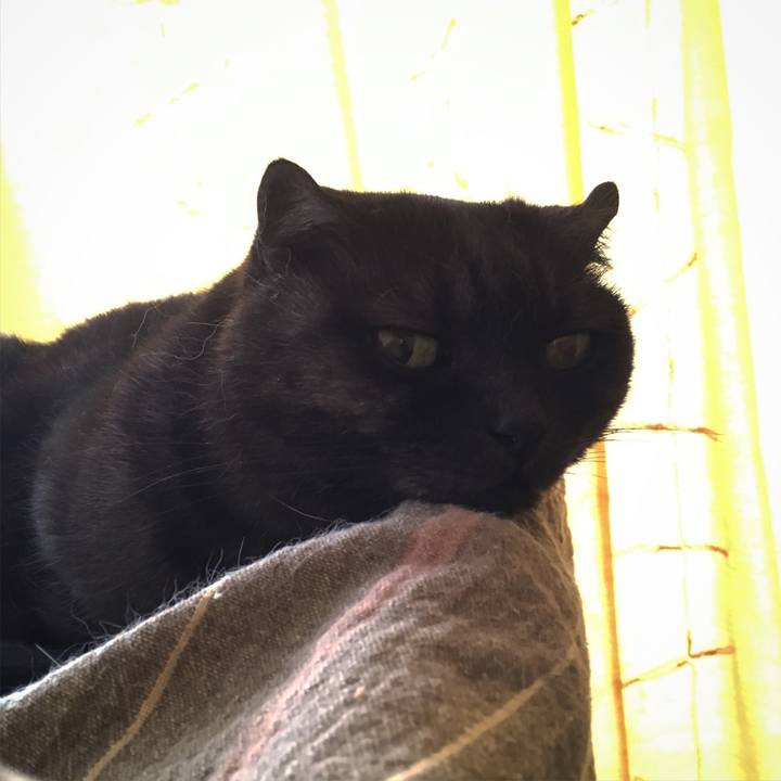 9a8c0e1b b93c 44cd 85ac 204e6a2b87bf 1563254245271