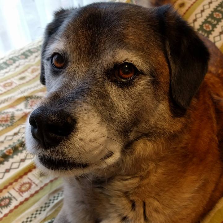 9a8c66cb 3ebb 4fee 93d7 1d1fa2134090 1551798287212