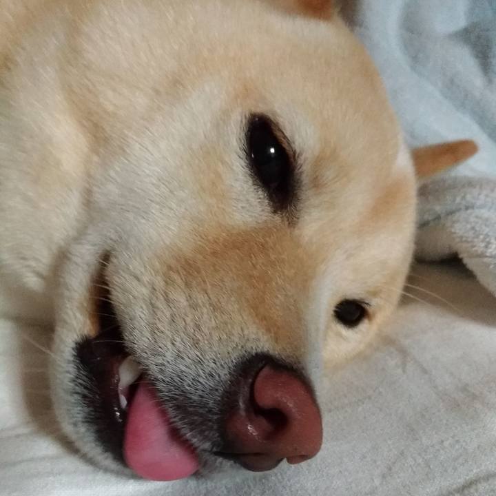 9a8c7b2a 1c7f 4db8 88ee bdc898f7a2f6 1532696755509