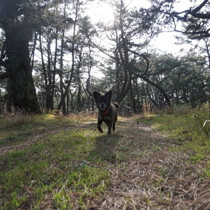 9a8c8c73 e505 4975 a8e6 24d54cb5f357 1552292182685