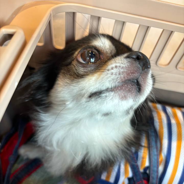 9a8c8d97 bfb0 4215 b0b0 bb0e7bd28fc6 1720888018578