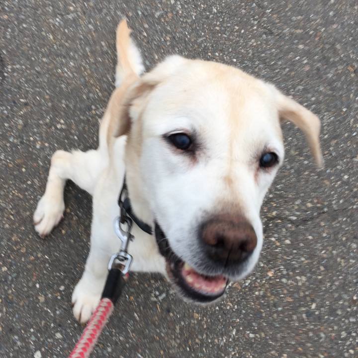 9a8cc437 e8b2 4be2 8ebb 15b8693f5aa9 1531309174353