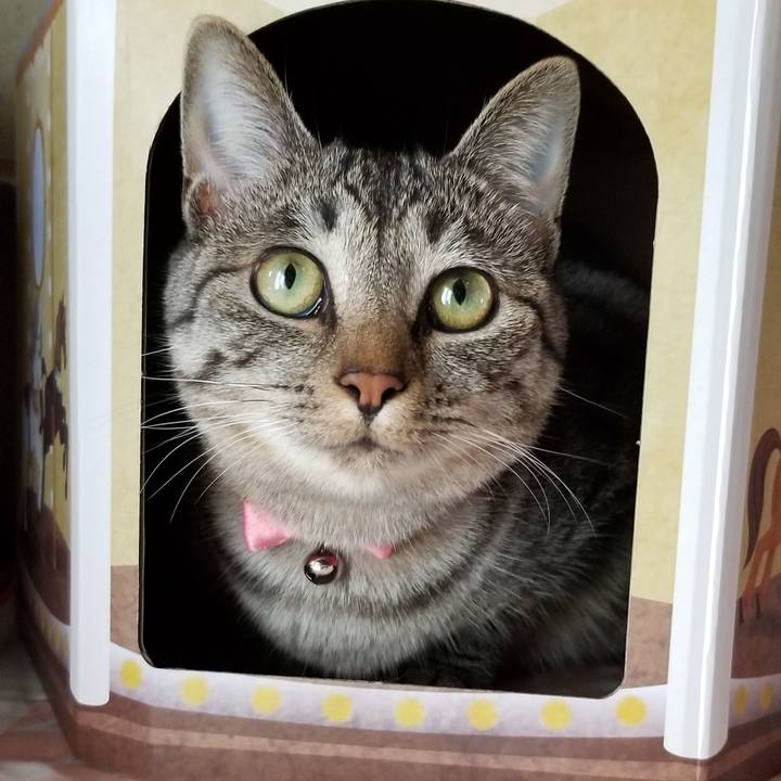 9a8cd76d 3bb4 4bc4 a07e 31e66fe1d48c 1688470425985