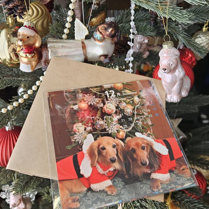 9a8d1343 a5e7 4cf7 9f81 a9bbd7a7ea58 1763698204139