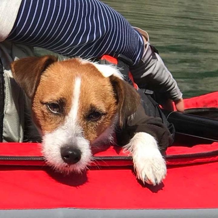 9a8d7c76 7783 408c ac83 9f65ccbe354e 1507812122662