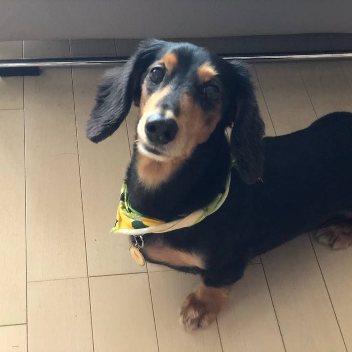 9a8dc3ce af53 4732 89a6 e6b221378301 1537153911970