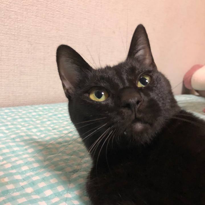 9a8dca02 8370 4596 b4a1 b03396b4da71 1665834332186