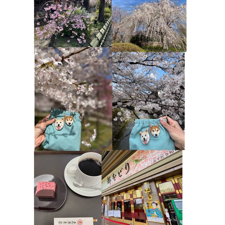 9a8dcbc9 207b 4e43 9b4f 623e45fcde4e 1648811764675