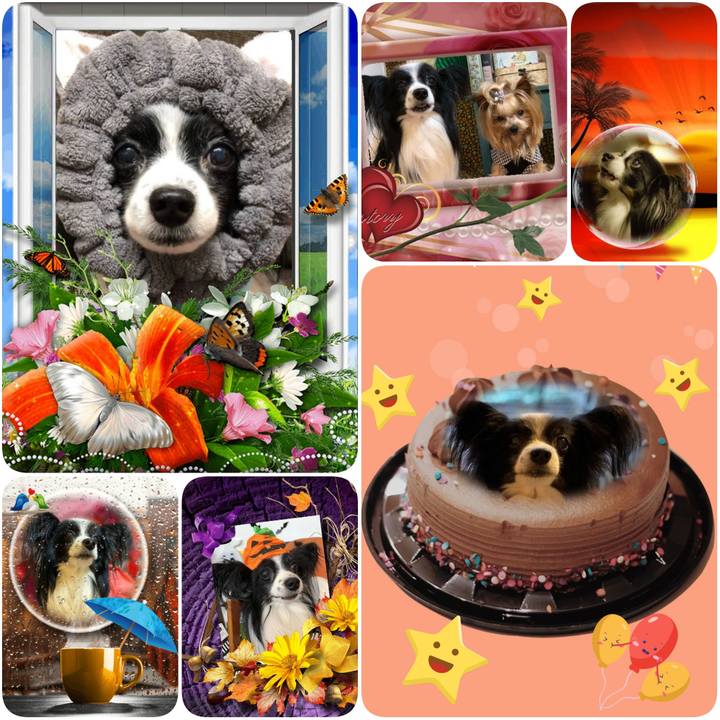 9a8de9cb c029 4c92 90d1 4cf4dc0c4041 1600726254132