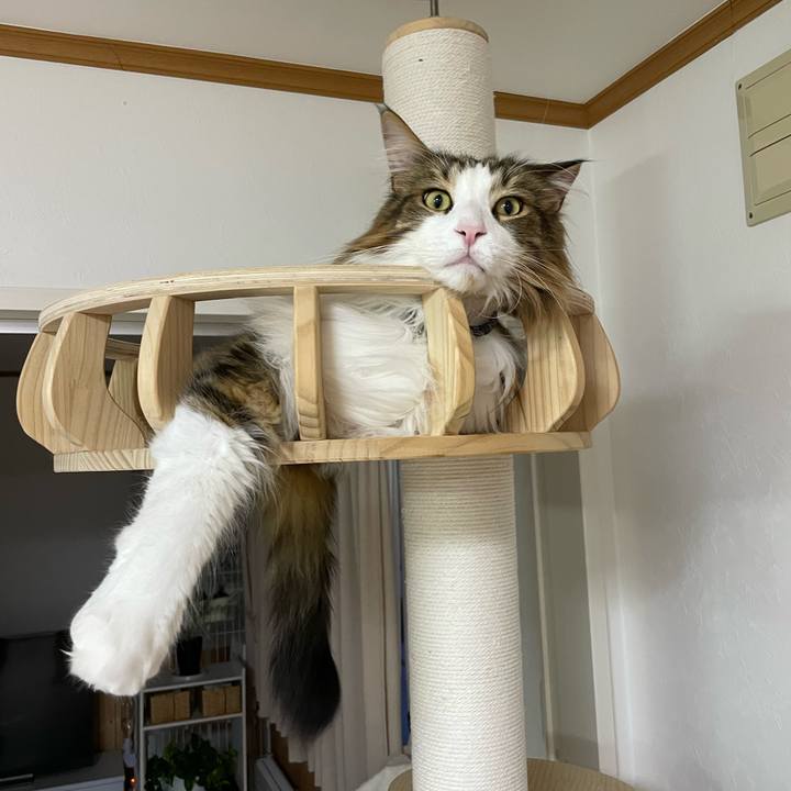 9a8e35fa 19b8 4211 a2c9 1fb549a6b611 1675201943179