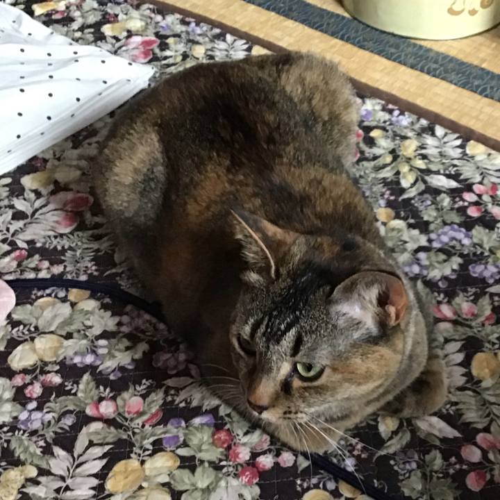 9a8e515e bc3c 4181 96ad cbb36f394f14 1655512544264