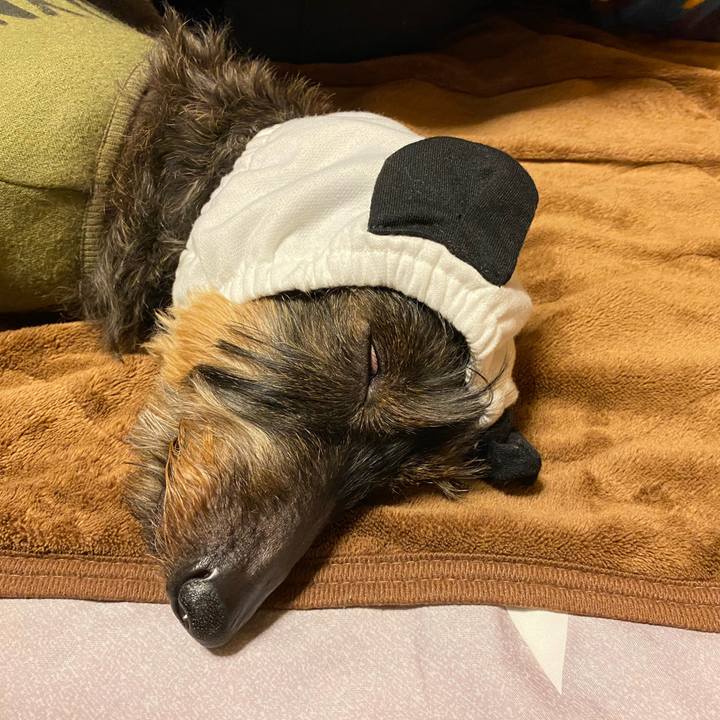 9a8e8411 0d77 470c 843b 0d97548c6ab5 1611250090393