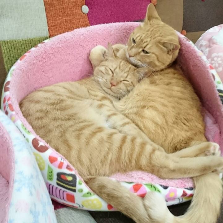 9a8ea38a 0409 4715 ac4b a44c65872d64 1554641576382