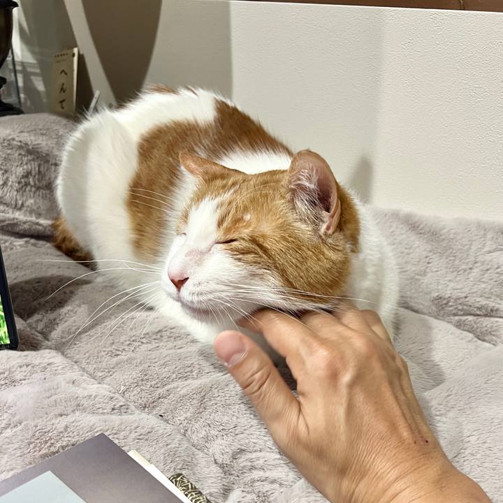 9a8ebb00 bfe1 42e1 a90f 8fd95f33ed4f 1767706816456