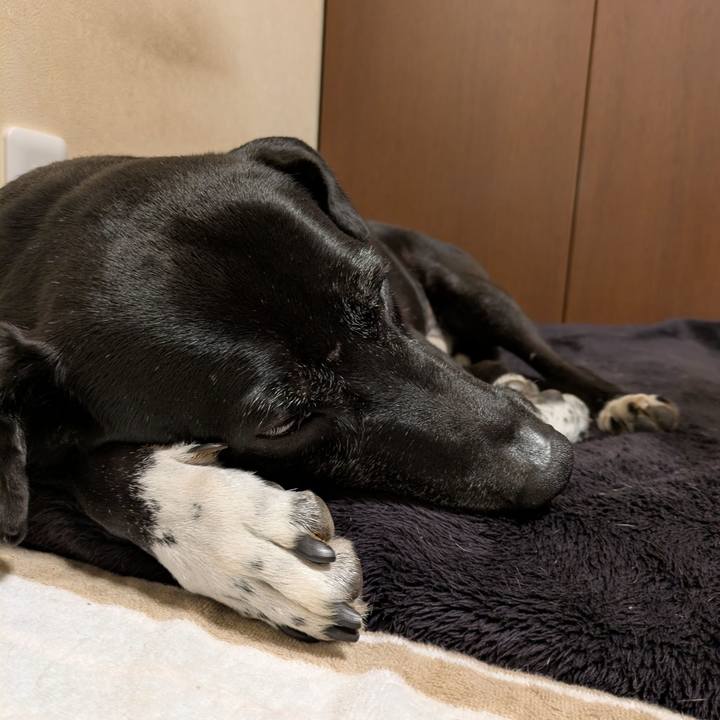 9a8f1853 28b6 4de4 aeac 5f6643d7f670 1733273817458