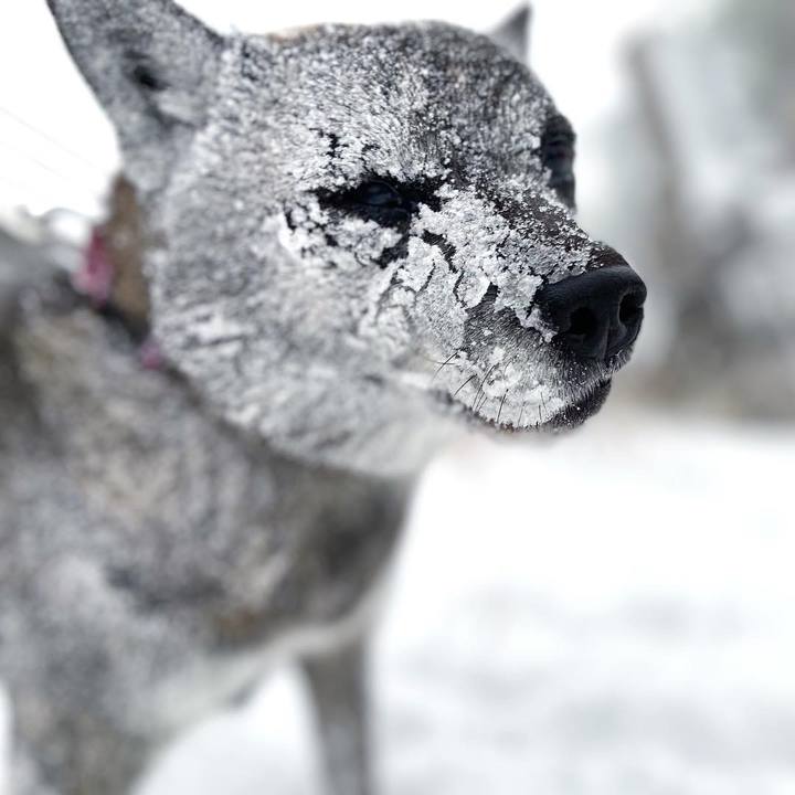 9a8f4086 7afa 4bf6 b505 1fa1aa05e57a 1641008845593