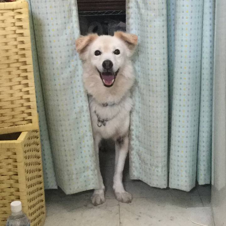 9a8f534b 3f65 4cd4 a785 2aa012f2a26c 1541819629298