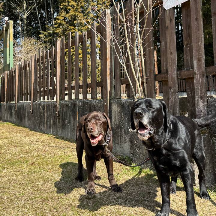 9a8f621e 89b6 46b6 a0cd 965c03c5f470 1771756631635