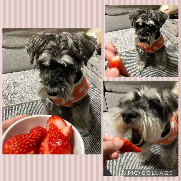 9a8fa139 bcbd 45d7 84f0 11a47f65fa3b 1775230421463